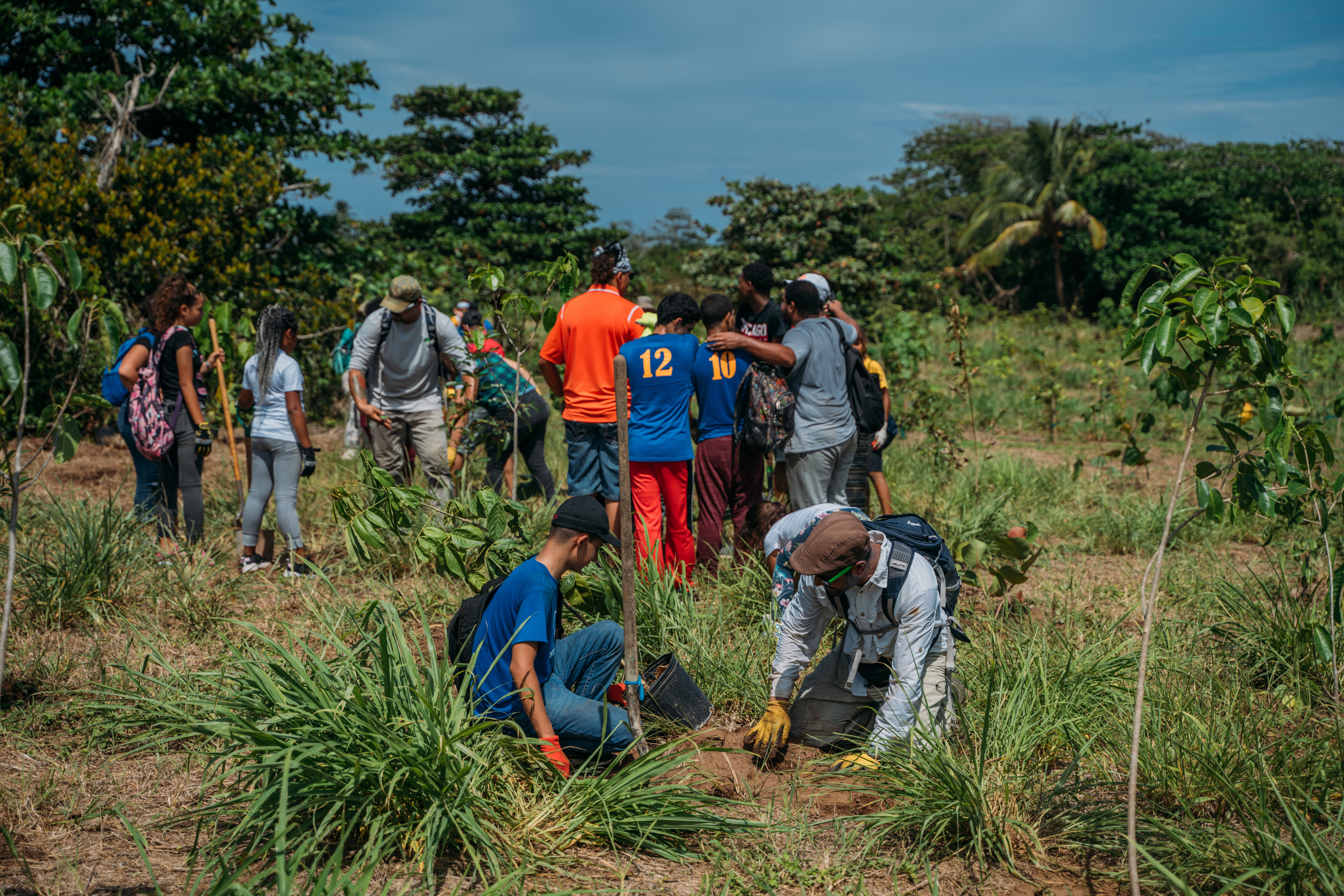 A group of people work together planting trees